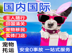 锦州空运公司国际宠物托运 【国